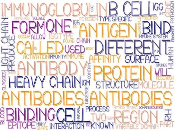 Antibodies Wordcloud Background: A Versatile Design Resource for Science-Inspired Creativity