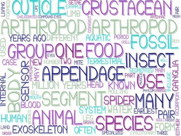 Arthropod Wordcloud Tie Dye: A Distinctive Visual Resource for Creative Professionals