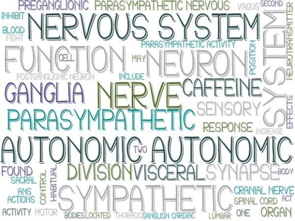 Autonomic Wordcloud Tie Dye: A Versatile Design Asset for Creative Professionals