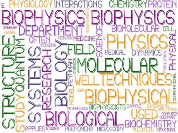 Biophysics Wordcloud Wallpaper: A Visual Resource for Science Communication and Design