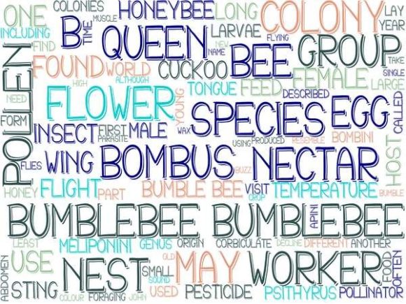 Bumblebee Wordcloud Tumbler