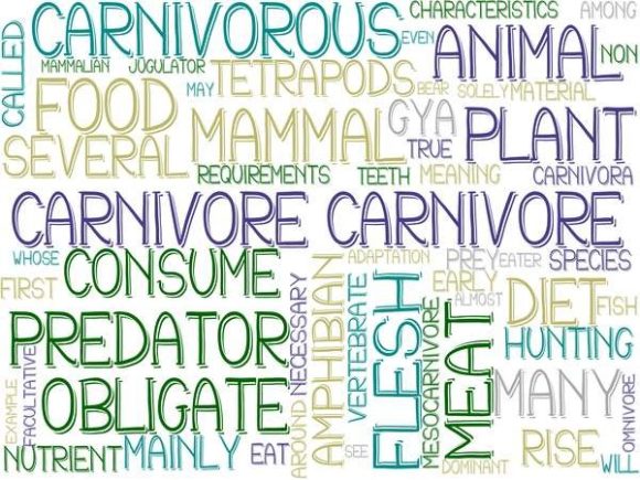 Carnivore Wordcloud Tumbler: A Versatile Visual Tool for Meaningful Communication