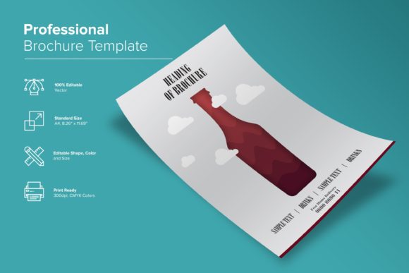 Professional Brochure Design Template