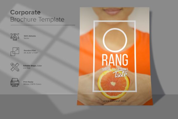 Rang Special Fresh Drink Brochures: A Practical Design Resource for Beverage Brands